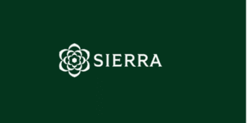Sierra AI secures $175 million to reach $4.5 billion valuation!
