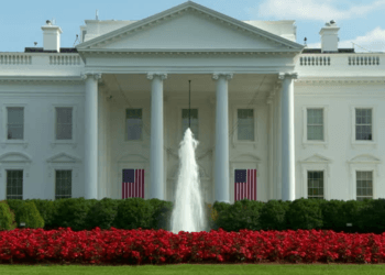 Live: US Presidential Elections 2024