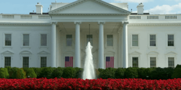 Live: US Presidential Elections 2024