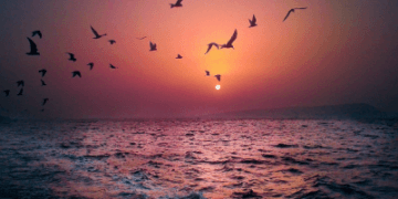 New Palm Beach: The future of luxury living in Navi Mumbai