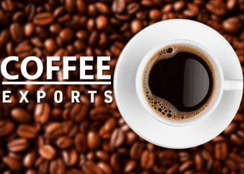 Data Story: India’s coffee exports till June 2025