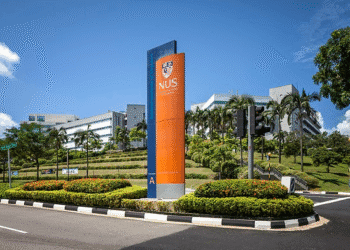 NUS, Google launch joint AI centre to boost research and talent development