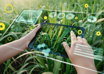 India’s top seven agritech startups in farm inputs and services