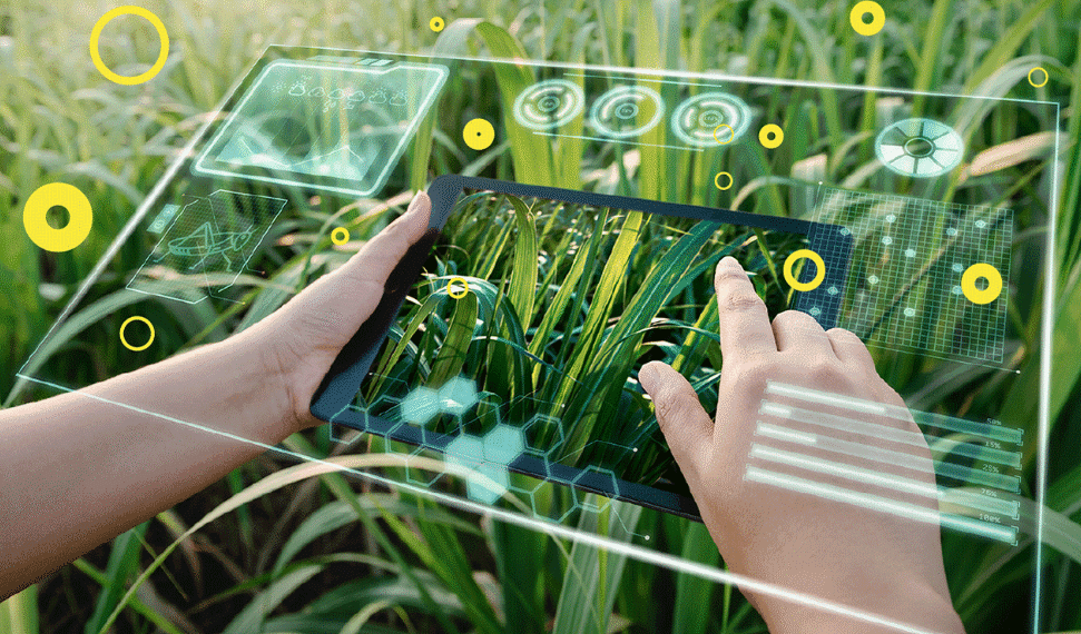 India’s top seven agritech startups in farm inputs and services