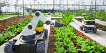 India’s leading agritech startups transforming post-harvest management and storage