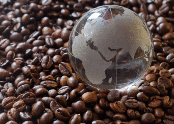 India’s coffee exports near 3 lakh tonnes in 2025, Italy remains top buyer