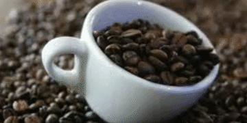 Global coffee prices remain elevated on supply concerns