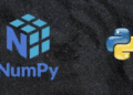 The basics of NumPy for data analysis