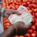India’s retail inflation cools to decade-low 0.25% in October: Kedia Research