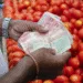 India’s retail inflation cools to decade-low 0.25% in October: Kedia Research