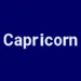 Capricorn Systems Global Solutions: FY comparison highlights strong stock re-rating