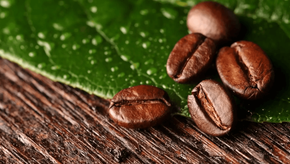 Data Story : Exporter-wise coffee exports from India in 2025