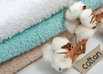 Strong Indian demand lifts Brazil’s cotton exports toward 3.2M tons
