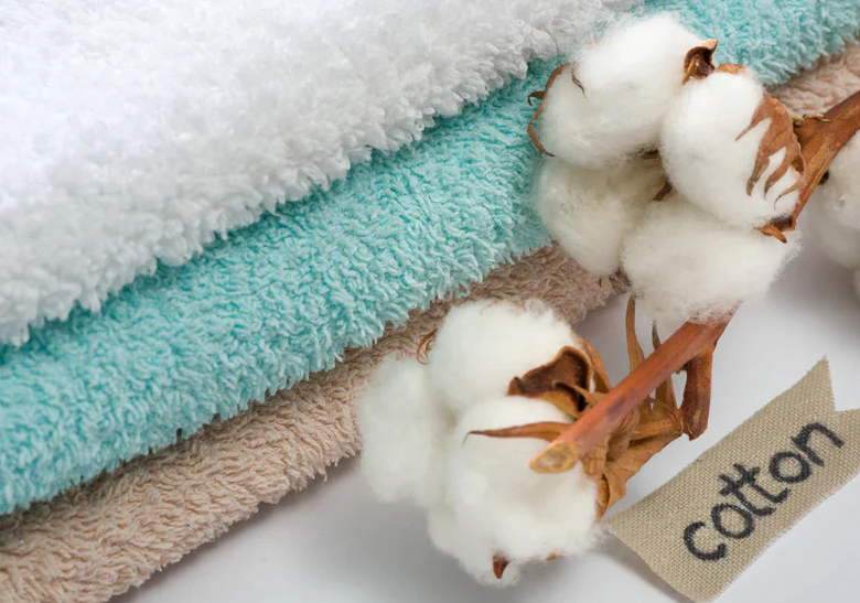 Strong Indian demand lifts Brazil’s cotton exports toward 3.2M tons