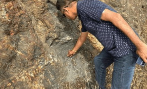 Deccan Gold Mines to invest in Spain Tungsten project; Shares end higher