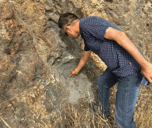 Deccan Gold Mines to invest in Spain Tungsten project; Shares end higher