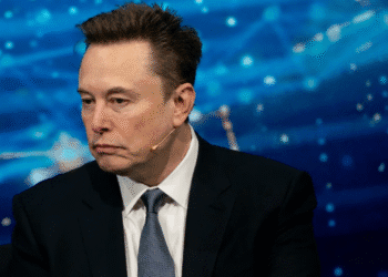 Elon Musk discusses misuse of H-1B visas