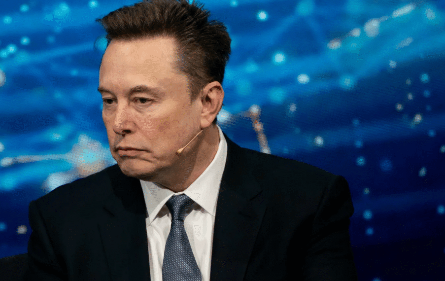 Elon Musk discusses misuse of H-1B visas