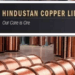 Hindustan Copper shines bright with a power-packed Q2 FY26: Know the results