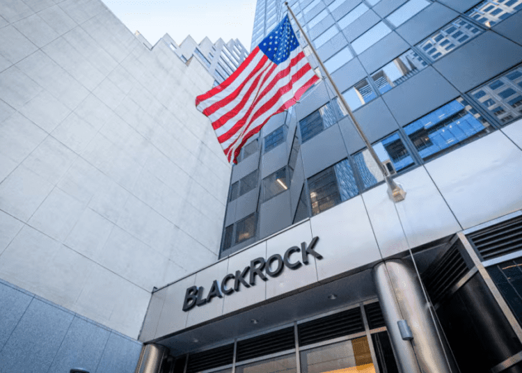 BlackRock and Partners Group introduce outcome-based private markets SMA