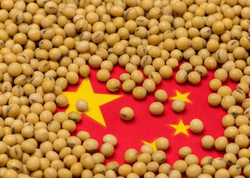 China’s 2025 soybean imports hit record amid trade uncertainty: Kedia Advisory research