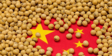 China’s 2025 soybean imports hit record amid trade uncertainty: Kedia Advisory research
