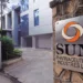 Sun Pharma’s stock in focus after strong Q3FY26 results