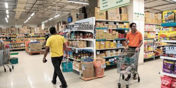 DMart adds 8 new stores across India; Total store count reaches 461