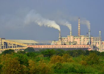 Paradeep Phosphates to benefit from India’s self-reliance push in fertilizer sector