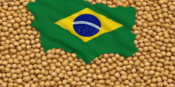 Soybean outlook mixed as crush rises, exports decline: Kedia Advisory
