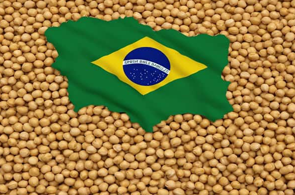 Soybean outlook mixed as crush rises, exports decline: Kedia Advisory