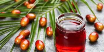 Crude palm oil market Outlook: Imports, biodiesel demand and global supply shape price trends