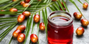 Crude palm oil market Outlook: Imports, biodiesel demand and global supply shape price trends