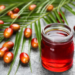 Crude palm oil market Outlook: Imports, biodiesel demand and global supply shape price trends