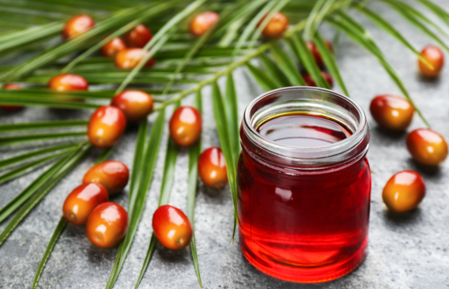 Crude palm oil market Outlook: Imports, biodiesel demand and global supply shape price trends