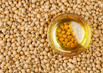 Higher soybean demand supports strong 2026/27 market outlook