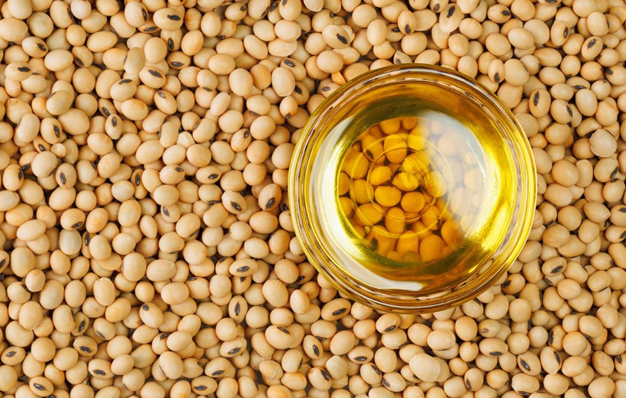 Higher soybean demand supports strong 2026/27 market outlook