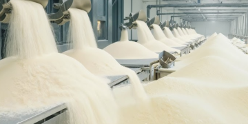 India sugar output seen rising 12% in 2026-27: Kedia Advisory