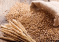 India wheat procurement falls 9% amid Madhya Pradesh decline