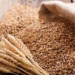 India wheat procurement falls 9% amid Madhya Pradesh decline