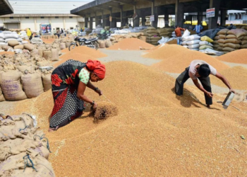 India foodgrain output rises 5% led by record rice, wheat