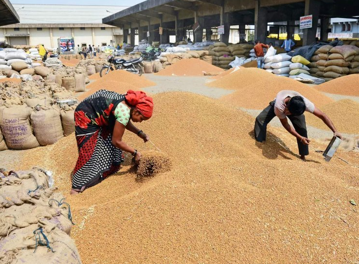 India foodgrain output rises 5% led by record rice, wheat