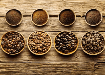 India’s coffee exports jump 26% in 2026 as Robusta shipments drive growth