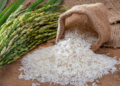 India’s rice stocks hit record high, wheat surges