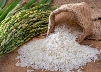 India’s rice stocks hit record high, wheat surges