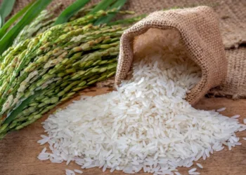 India’s rice stocks hit record high, wheat surges