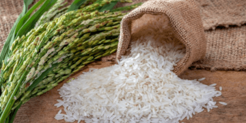 India’s rice stocks hit record high, wheat surges