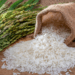 India’s rice stocks hit record high, wheat surges