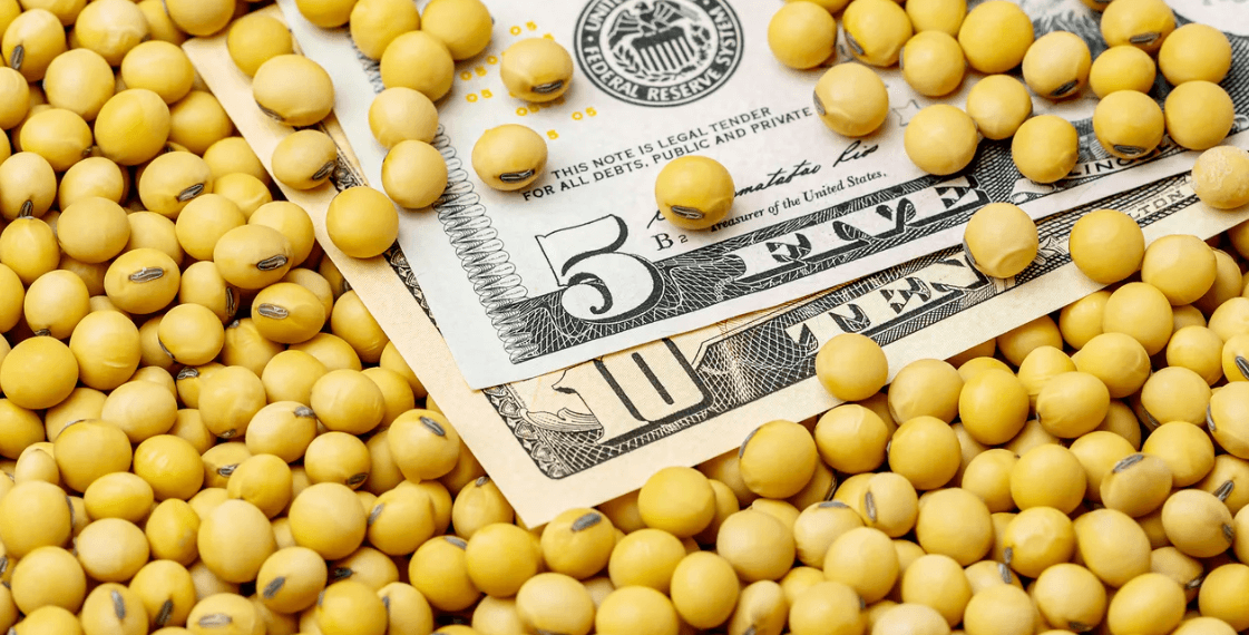 Global soybean stocks rise despite lower production outlook