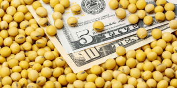 Global soybean stocks rise despite lower production outlook